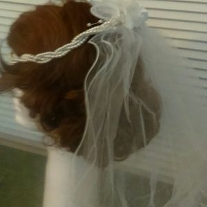 Wedding veil